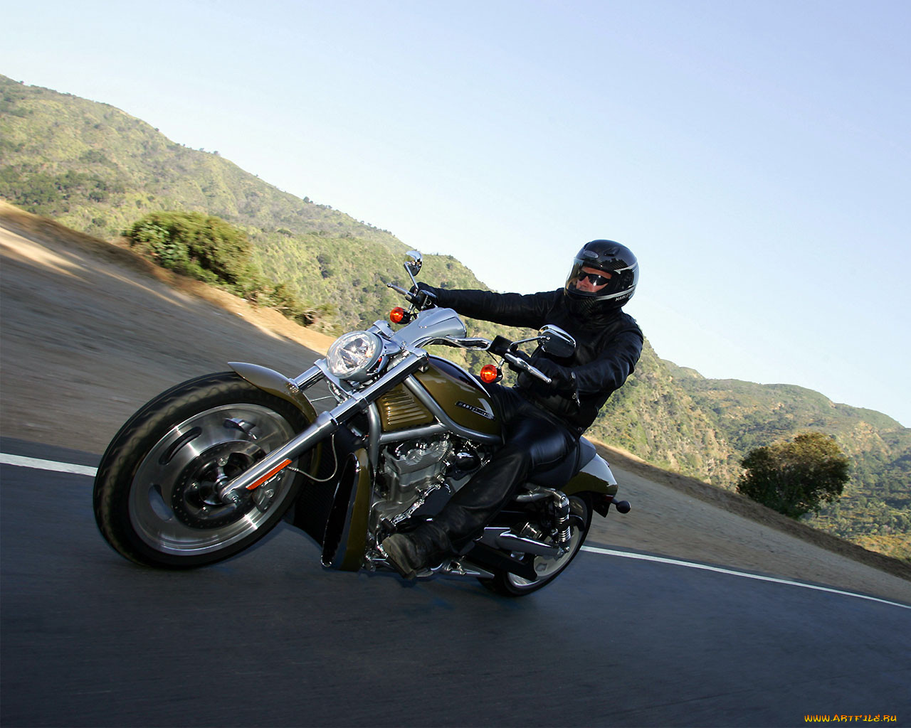 , harley, davidson